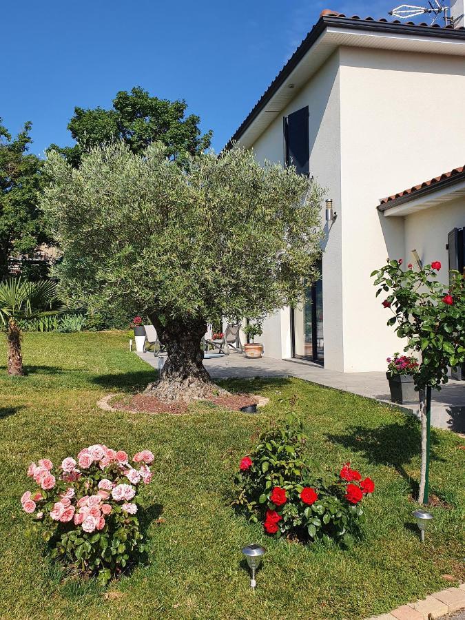 Séjour chez l'habitant L'olivier