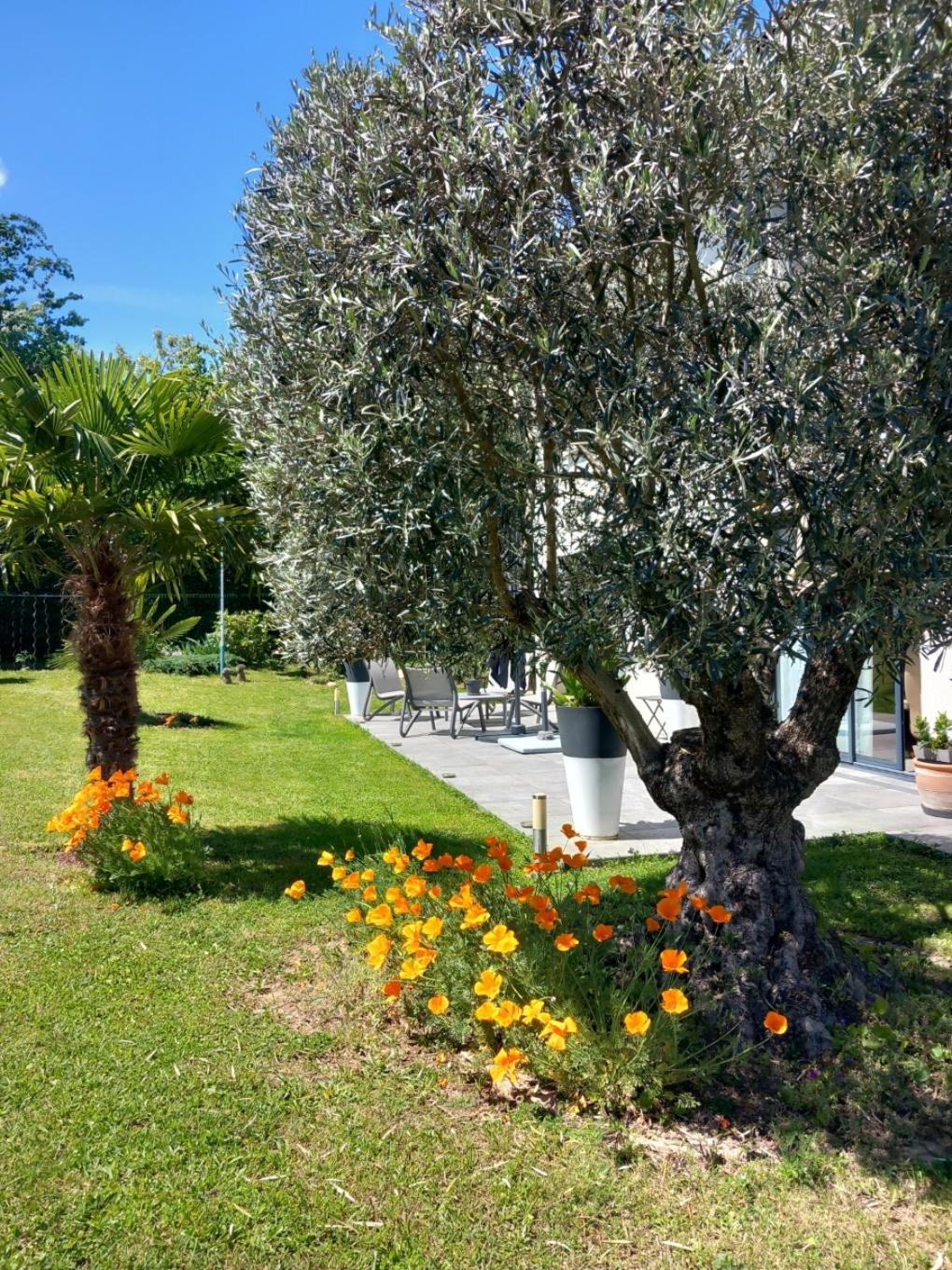 Homestay L'olivier Mornant